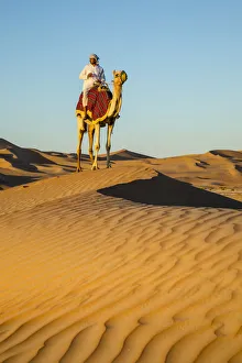 Camel in the Empty Quarter (Rub Al Khali), Abu Dhabi, United Arab Emirates (MR) Camel in the Empty Quarter (Rub Al Khali), Abu Dhabi, United Arab Emirates (MR)