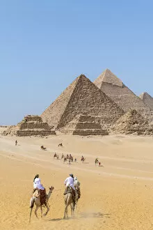 Giza Collection: Camels train at the Pyramids of Giza, Giza, Cairo, Egypt