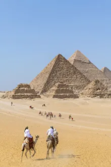Camels train at the Pyramids of Giza, Giza, Cairo, Egypt Camels train at the Pyramids of Giza, Giza, Cairo, Egypt