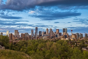 Towers Gallery: 