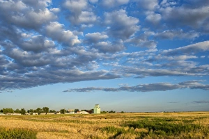 Canada, Alberta, Stavely, Prairie Landscape Canada, Alberta, Stavely, Prairie Landscape