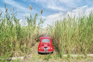 Car parked among long grass, Lipari, Aeolian Islands, Sicily, Italy Car parked among long grass, Lipari, Aeolian Islands, Sicily, Italy