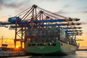 Cargo ship Xin Shanghai being loaded at Eurokai in Hamburg Harbor at sunset, Waltershofer Cargo ship Xin Shanghai being loaded at Eurokai in Hamburg Harbor at sunset, Waltershofer
