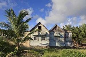 Caribbean, Barbados, Martins Bay, Local House Caribbean, Barbados, Martins Bay, Local House