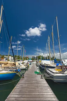 Caribbean, Martinique, Pointe du Bout, Marina Caribbean, Martinique, Pointe du Bout, Marina