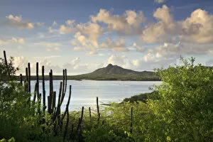Related Images Gallery: Caribbean, Netherland Antilles, Bonaire, Washington Slagbaai National Park, Flamingoes