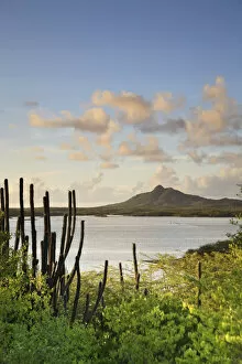 Related Images Gallery: Caribbean, Netherland Antilles, Bonaire, Washington Slagbaai National Park, Flamingoes