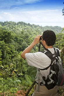 Central America, Costa Rica, Osa Peninsula, a rainforest guide looking through binoculars Central America, Costa Rica, Osa Peninsula, a rainforest guide looking through binoculars
