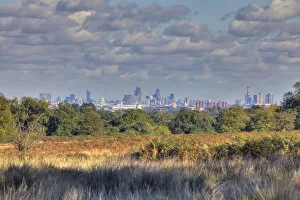 Images Dated 4th November 2010: Central London skyline from Richmond Park, London, England