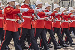 Changing Of The Guard Gallery: Changing of the guards, London, England, Uk
