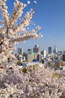 Cherry blossom and Kobe skyline, Kobe, Kansai, Japan Cherry blossom and Kobe skyline, Kobe, Kansai, Japan
