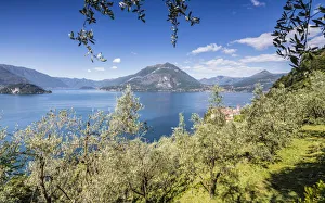 Cherry trees around the village of Varenna surrounded by the blue water of Lake Como Cherry trees around the village of Varenna surrounded by the blue water of Lake Como