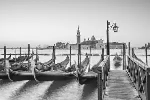 : Venice Collection