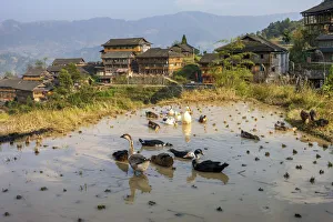 China, Guangxi Provincei, Umgebung Guilin, Longshen China, Guangxi Provincei, Umgebung Guilin, Longshen