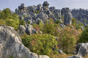 China, Yunnan Province, Shilin Stone Forest China, Yunnan Province, Shilin Stone Forest