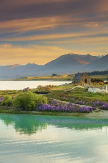 The Church of the Good Shepherd and Tekapo lake with lupins in bloom by the lake at The Church of the Good Shepherd and Tekapo lake with lupins in bloom by the lake at