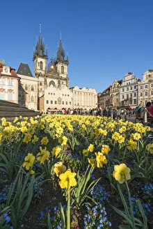 Church of our lady before Tyn and flowers at Jan Hus Memorial, Old Town Square, Prague Church of our lady before Tyn and flowers at Jan Hus Memorial, Old Town Square, Prague