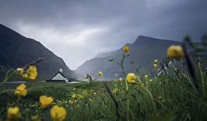 The church in Saksun surrounded by yellow flowers and grass. Faroe Islands The church in Saksun surrounded by yellow flowers and grass. Faroe Islands