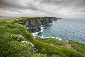 Cliffs of Moher with flowers on the foreground. Liscannor, Munster, Co.Clare, Ireland
