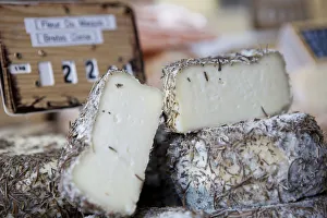 Close up of cheese in a deli case in Aurillac, France Close up of cheese in a deli case in Aurillac, France