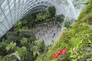 Gardens By The Bay Gallery: Cloud Forest greenhouse in Gardens by the Bay, Singapore