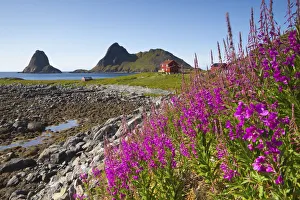 Coastal landscape near Nykvag, Vesteralen, Nordland, Norway Coastal landscape near Nykvag, Vesteralen, Nordland, Norway