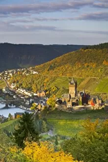 Vine Yard Gallery: Cochem Castle, Cochem, Rhineland / Mosel Valley, Germany