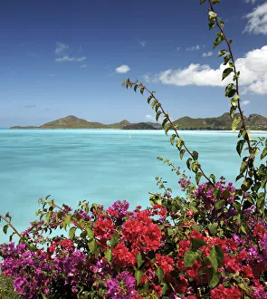 Coco Bay, Antigua, Caribbean, West Indies Coco Bay, Antigua, Caribbean, West Indies