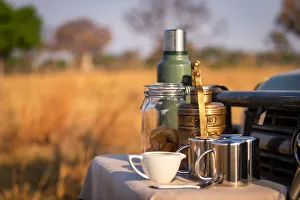 Coffee on safari, Moremi National Park, Okavango Delta, Botswana Coffee on safari, Moremi National Park, Okavango Delta, Botswana