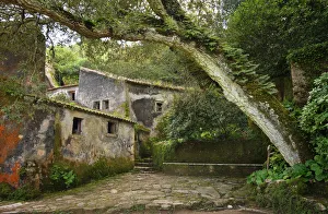 Convent of the Capuchos, dating back to the 16th century, in the middle of the Sintra Convent of the Capuchos, dating back to the 16th century, in the middle of the Sintra