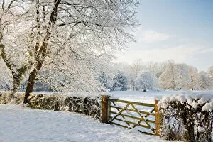 Images Dated 17th January 2013: Country Gate in Winter, Norfolk, England