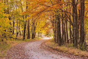 Country Lane in Autumn, Shenandoah National Park, Virginia, USA Country Lane in Autumn, Shenandoah National Park, Virginia, USA