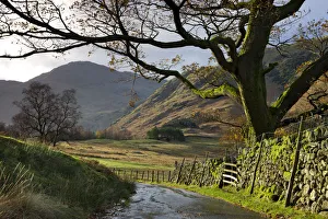 Country lane leading towards Blea Tarn in the Langdale Valley, Lake District National Country lane leading towards Blea Tarn in the Langdale Valley, Lake District National