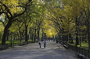 Park Bench Collection: A couple walk through Central Park enjoying the autumn colours