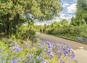 A couple walking in Regents park, London, England, UK A couple walking in Regents park, London, England, UK