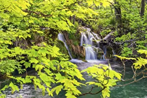 Croatia, Dalmatia, Karlovac, Plitvice, Plitvice national park, Waterfall at the high Croatia, Dalmatia, Karlovac, Plitvice, Plitvice national park, Waterfall at the high