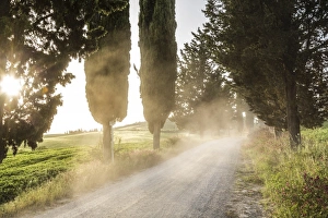 Cyclist on dirt road at sunset, Tuscany, Italy Cyclist on dirt road at sunset, Tuscany, Italy