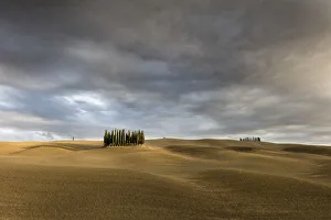 Cypress trees surrounded by ploughed fields with a stormy sky, Val d'Orcia, Tuscany Cypress trees surrounded by ploughed fields with a stormy sky, Val d'Orcia, Tuscany