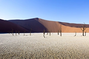 Dead Vlei, Sosussvlei, Namibia, Africa Dead Vlei, Sosussvlei, Namibia, Africa