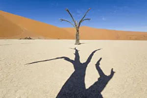 Deadvlei, Namib desert, Namibia, Africa. Dead acacia pan Deadvlei, Namib desert, Namibia, Africa. Dead acacia pan