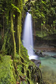 Dominica, Castle Bruce. Emerald Pool, one of the most popular tourist attractions Dominica, Castle Bruce. Emerald Pool, one of the most popular tourist attractions