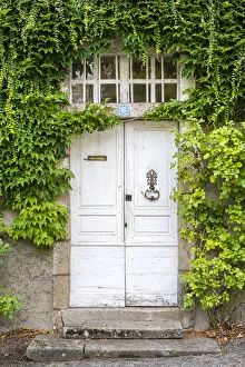 Front door of French house covered in vines (Parthenocissus tricuspidata), Argentat Front door of French house covered in vines (Parthenocissus tricuspidata), Argentat
