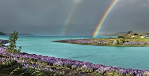 Double rainbow in Tekapo lake with the lupins in bloom and the church of the Good Double rainbow in Tekapo lake with the lupins in bloom and the church of the Good