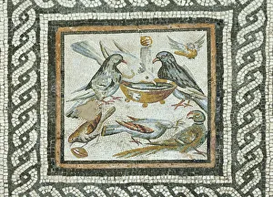 Doves from the Domus under the Caseggiato of the Taberne Finestrate, 1st century B Doves from the Domus under the Caseggiato of the Taberne Finestrate, 1st century B