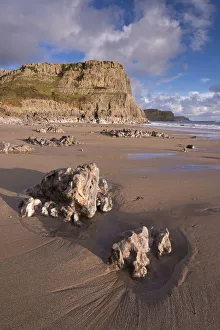 Dramatic cliffs and sandy beaches at Fall Bay on the Gower Peninsula, Wales, UK. Winter Dramatic cliffs and sandy beaches at Fall Bay on the Gower Peninsula, Wales, UK. Winter