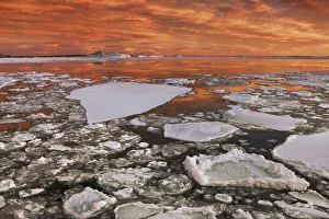 Drift ice - Antarctica, Antarctic Peninsula, Snowhill Island Drift ice - Antarctica, Antarctic Peninsula, Snowhill Island