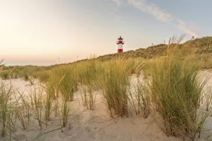 Dune landscape at the List-Ost lighthouse on the Ellenbogen Peninsula, Sylt Dune landscape at the List-Ost lighthouse on the Ellenbogen Peninsula, Sylt