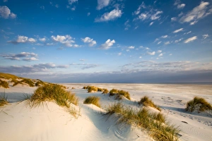 Dunes, Amrum Island, Northern Frisia, Schleswig-Holstein, Germany Dunes, Amrum Island, Northern Frisia, Schleswig-Holstein, Germany