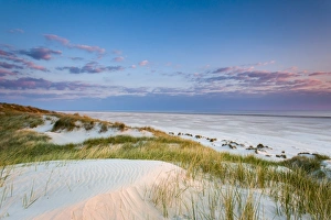 Dunes at dusk, Amrum Island, Northern Frisia, Schleswig-Holstein, Germany Dunes at dusk, Amrum Island, Northern Frisia, Schleswig-Holstein, Germany