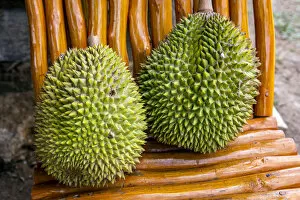 Images Dated 13th September 2018: Durian or Durio kutejensis fruit, Rantepao, Tana Toraja, Sulawesi, Indonesia